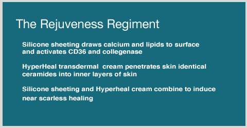 rejuveness-regiment_text.gif rejuveness-regiment_text.gif