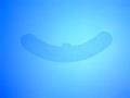One Scar Healing 23 cm (9 ") Breast Arc